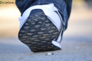 En calma, la imagen muestra un zapato deportivo a punto de pisar un anillo con las letras de Ferki