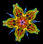 Calidoscopi i altres contes, Anna Antoñico